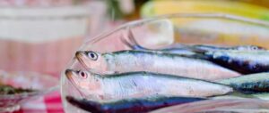 Pescados boqueron