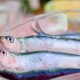 Pescados boqueron