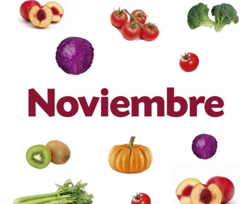 Productos de Temporada de NOVIEMBRE