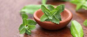 qué es la stevia