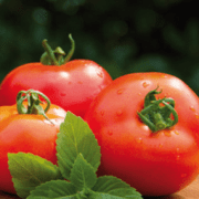 mermelada de tomate
