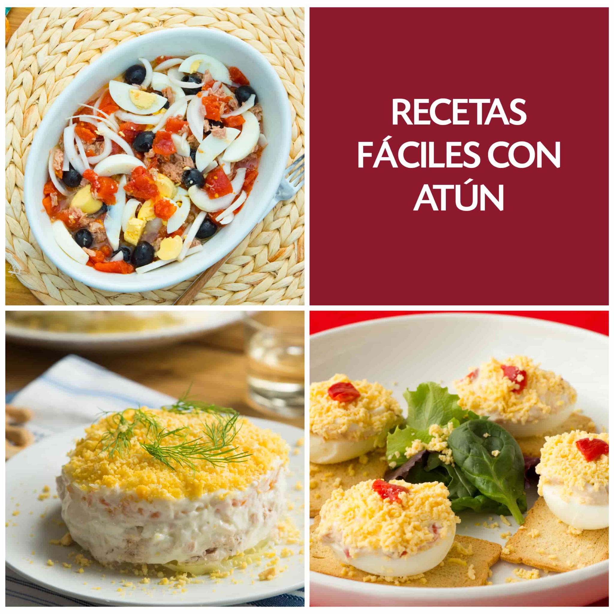 Recetas fáciles con atún | Recetas La Masía Recetas fáciles con atún | Recetas La Masía