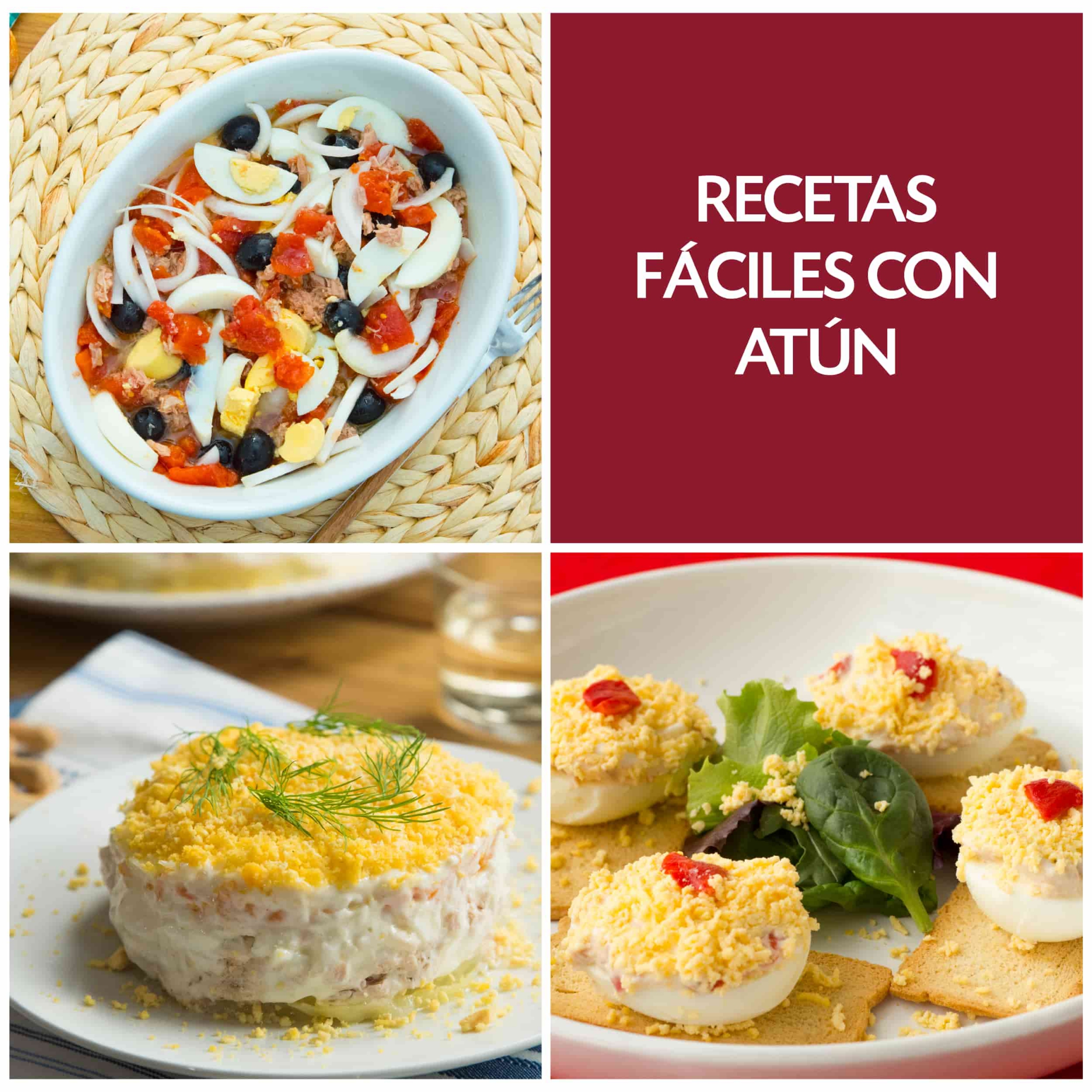 Recetas fáciles con atún